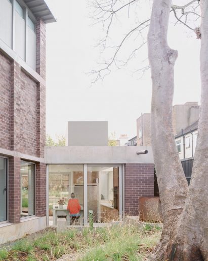 A back garden and a large tree