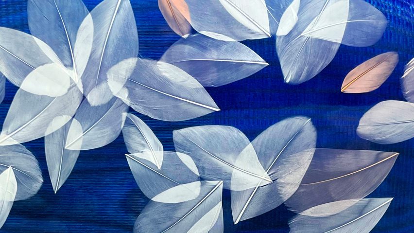 JANAINA MILHEIRO X LOMA print for LDF