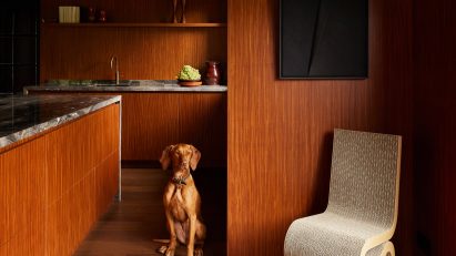Netherlands home by DAB Studio