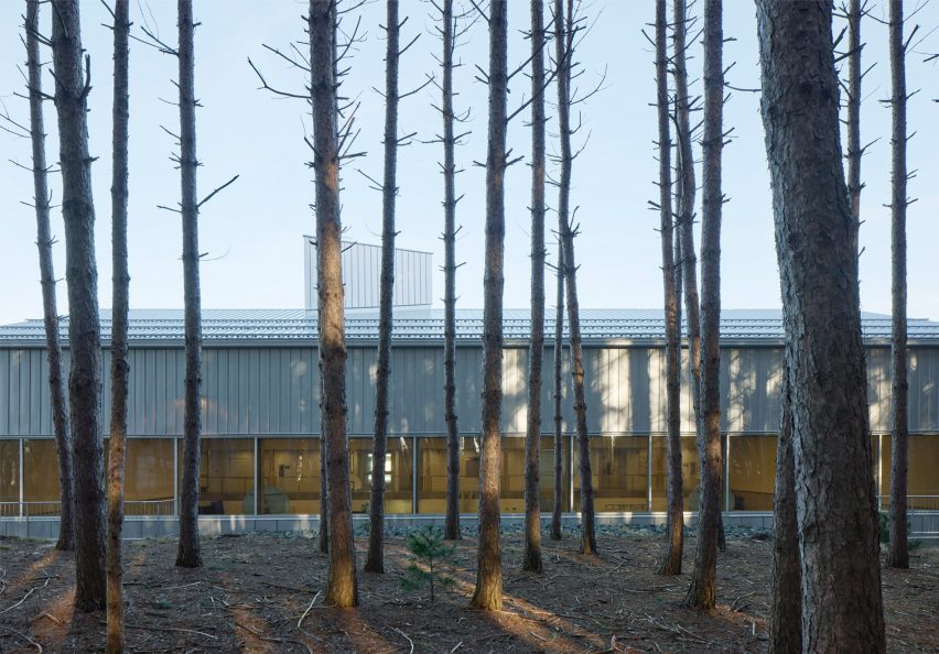 Trees in front of school building