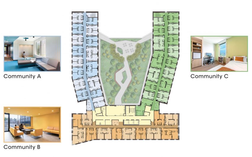 Colourful plans and trees