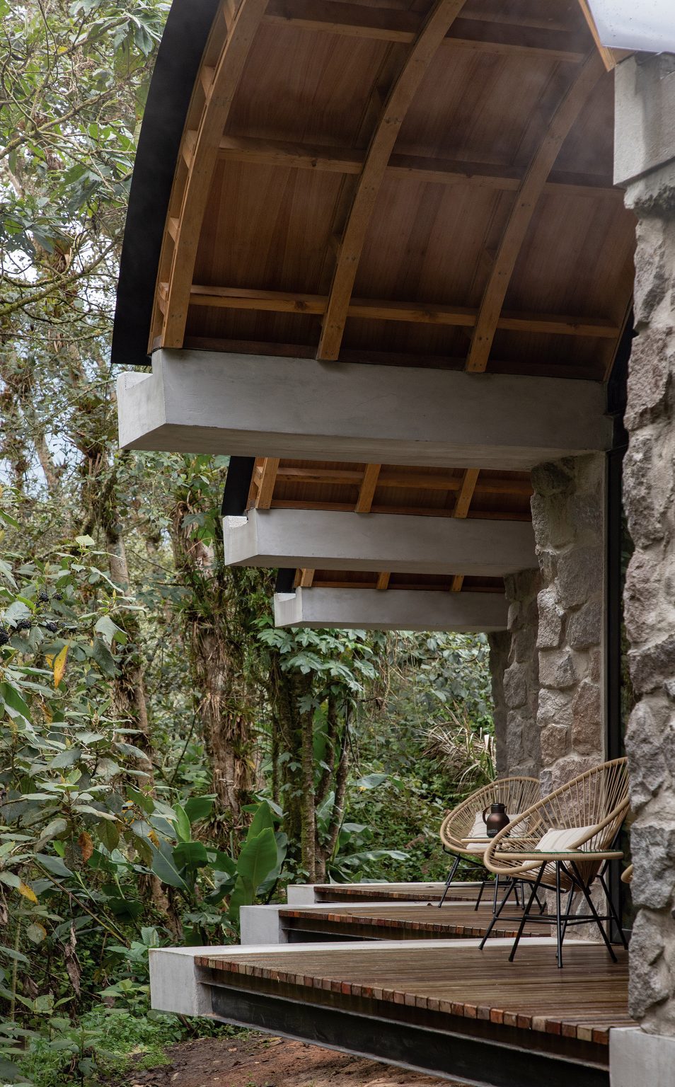 Terraces in jungle
