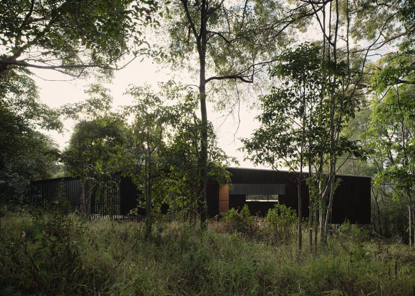 Tallowwood Cabin by Fouché Architects