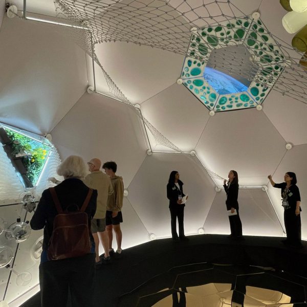 Aurelia Institute designs geodesic spacecraft for “leading good lives” in orbit