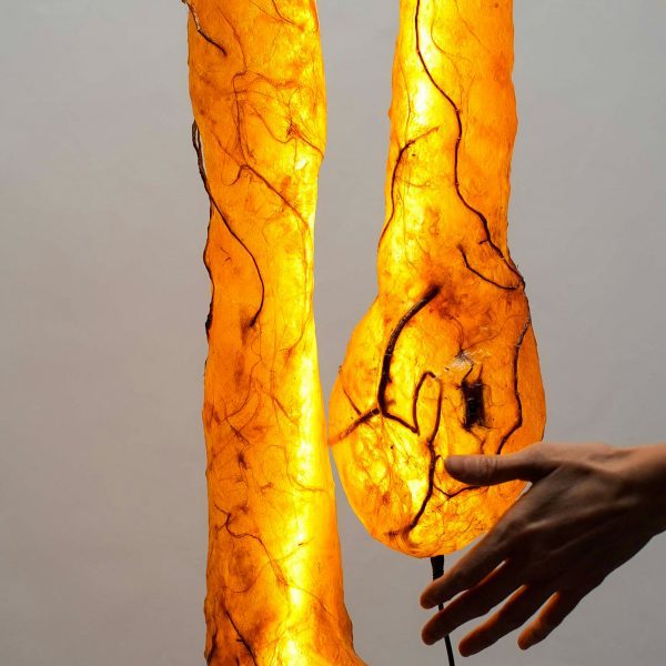Photo of installation by Bioplastic Sabrina Merayo Nuñez
