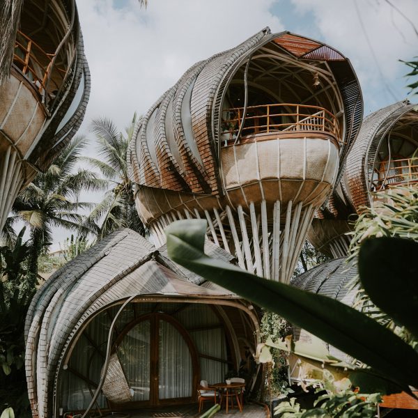 Photograph of a curvaceous architectural structure set in a tropical environment.