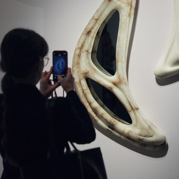 Photo of person taking a photo of art