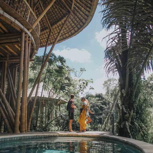 Photograph of two students conversing in a leafy, tropical setting.