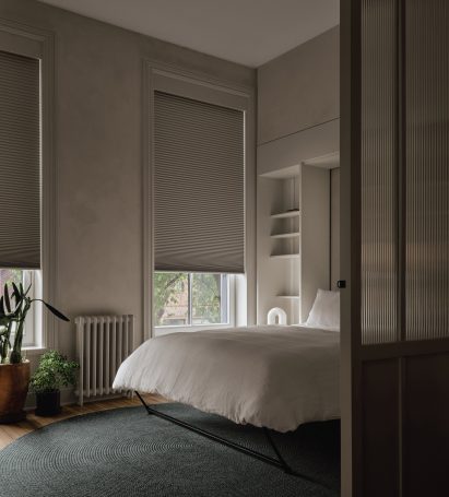 Bedroom with a Murphy bed