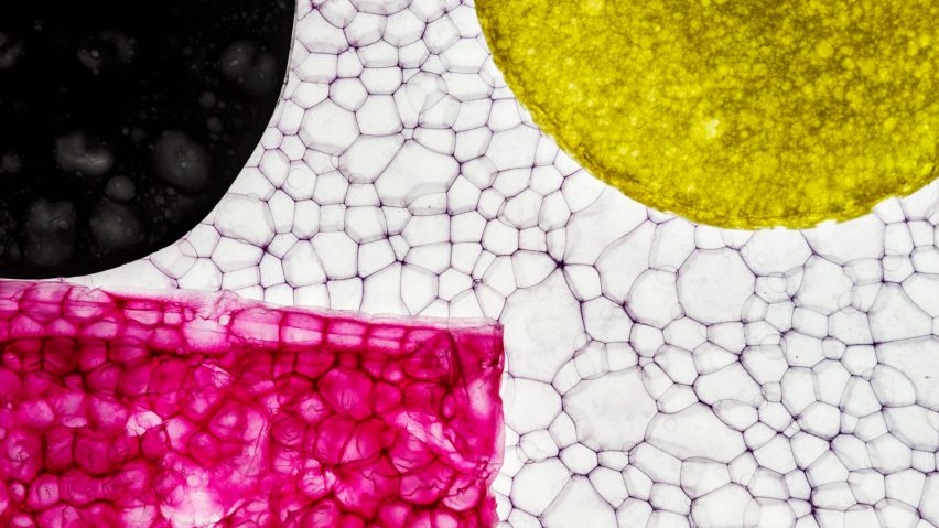 Four materials from Helsinki Design Week that explore the potential of cellulose