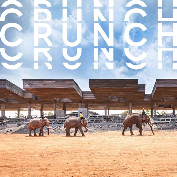 A photograph of elephants walking on brown sand terrain, with a blue sky above, and distorted white text that reads 'crunch' overlaid on the photograph.