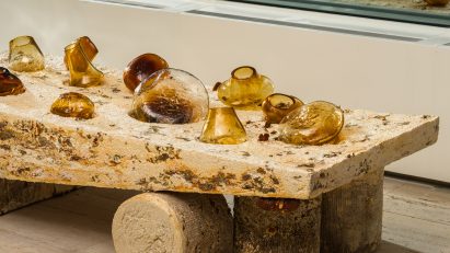 Table made of mushrooms