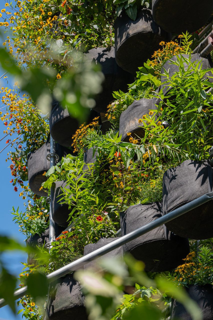 Stacks of plants
