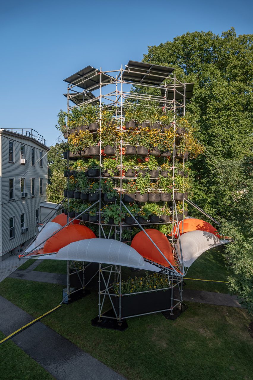 A large installation with plants