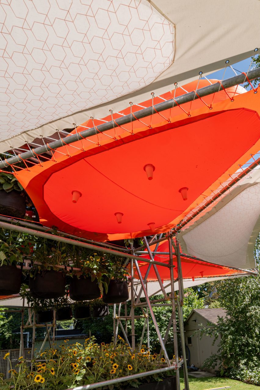 Awnings surrounding plant sculpture
