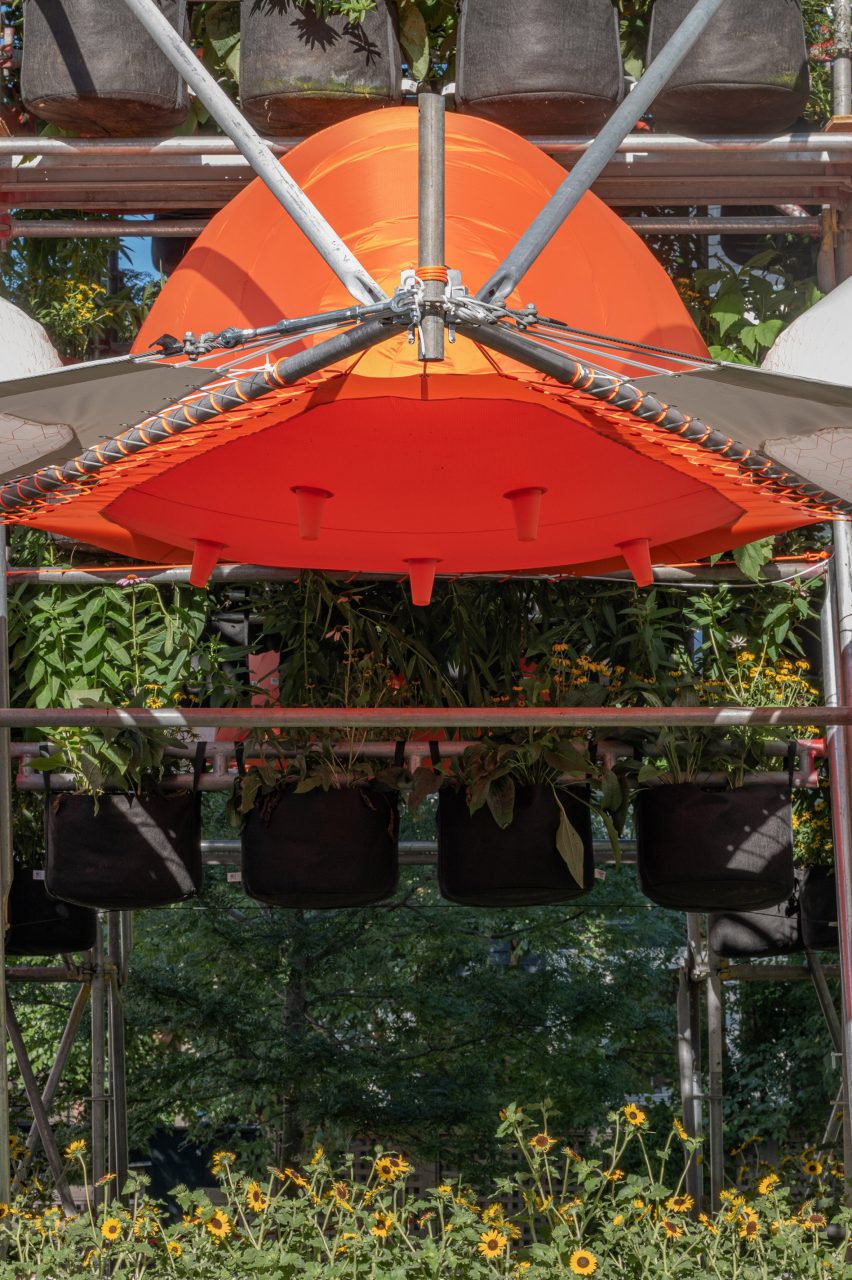 Canopies surrounding plants