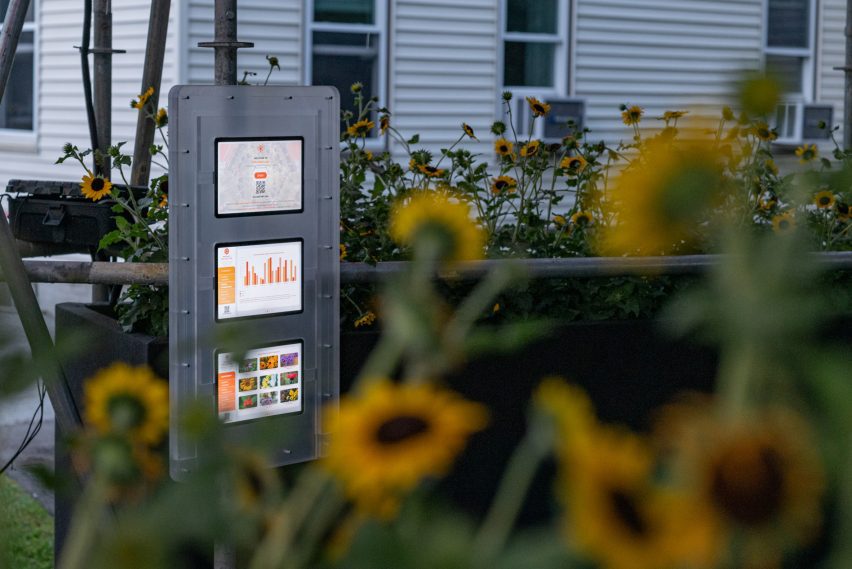 Flowers and mechanical systems