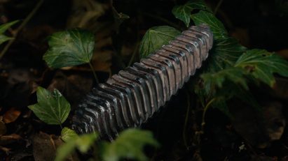 Pyri wildfire detection device