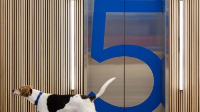 Pet-friendly office