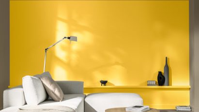True Joy paint by Dulux