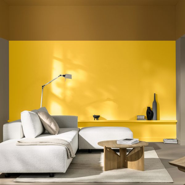True Joy paint by Dulux