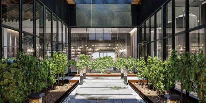 A visualisation of a winery, with glass windows and walls and a path surrounded by green plants.