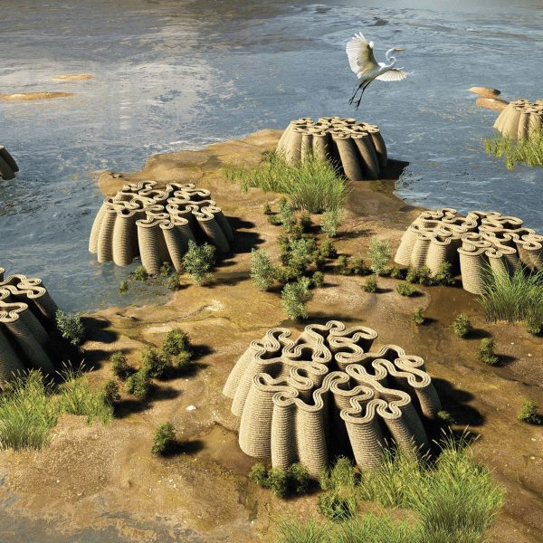 a visualisation of a landscape by a body of water