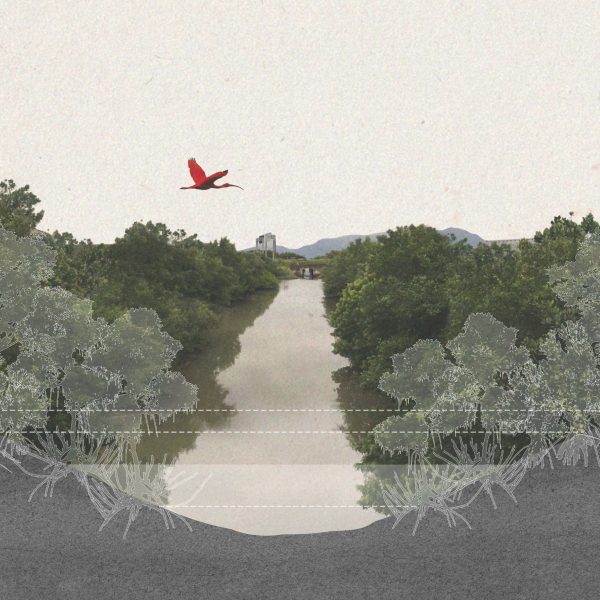 Image of student work showing a landscape architecture visualisation.