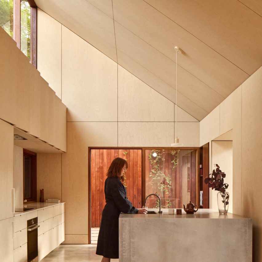 Shadow House