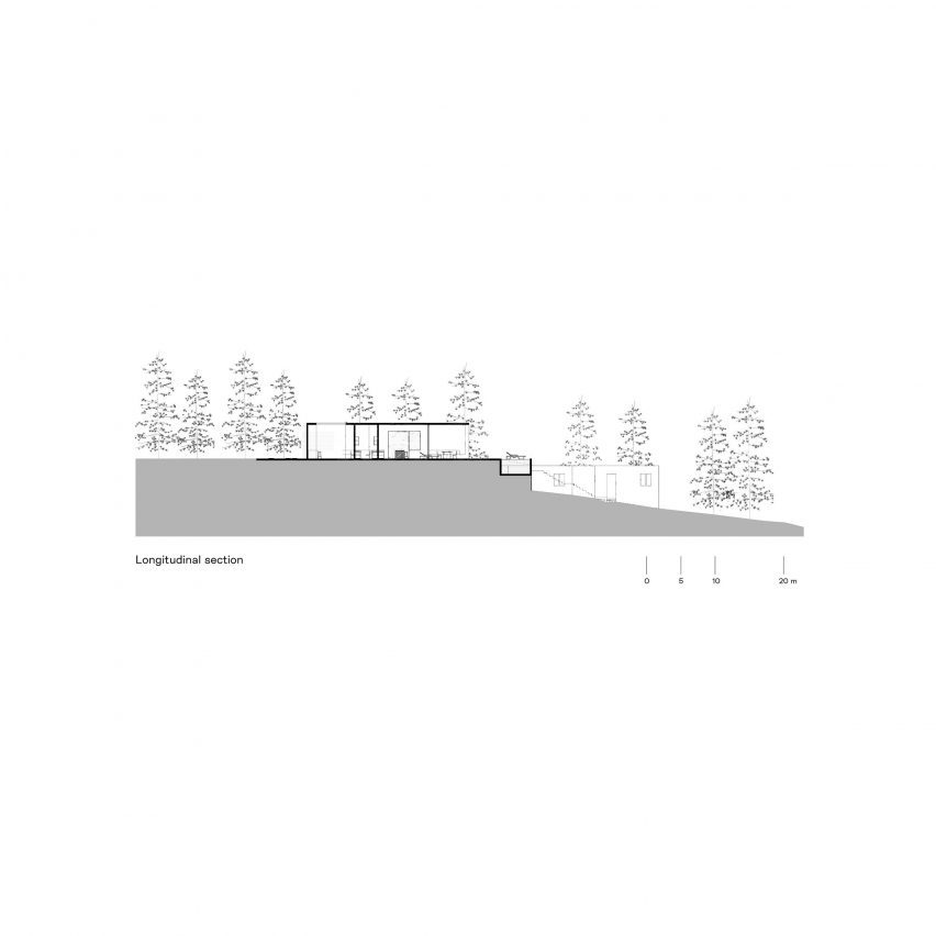 Longitudinal section