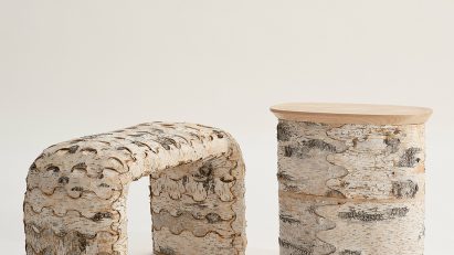 Two bark-clad seats on pale backdrop