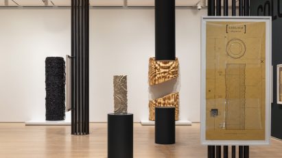 Germane Barnes Art Institute of Chicago Installation