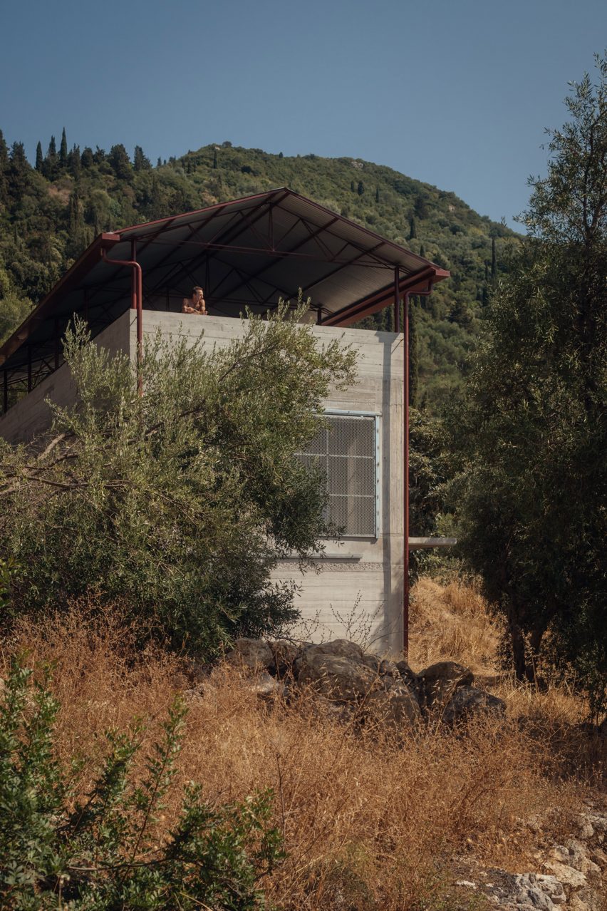 House in an Olive Grove by Piers Taylor
