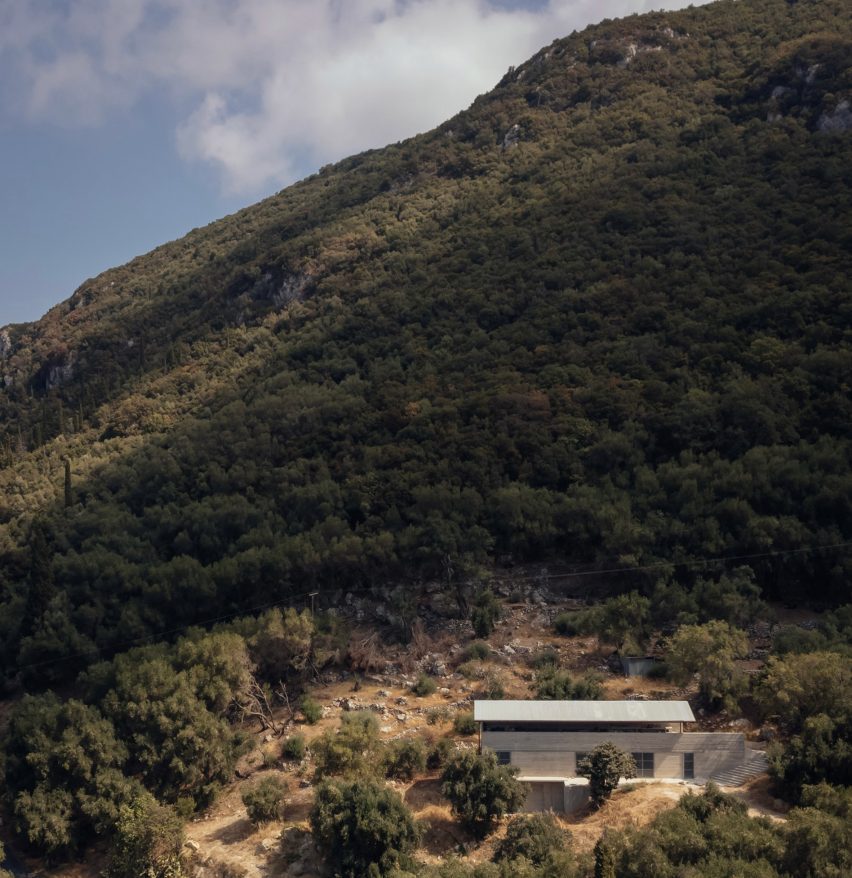 House in an Olive Grove by Piers Taylor