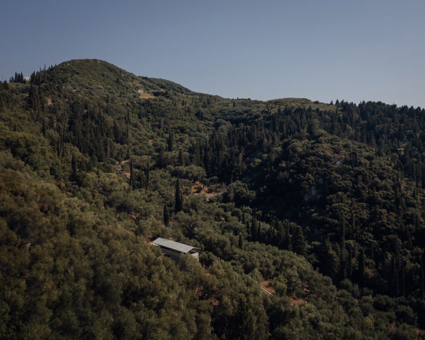House in an Olive Grove by Piers Taylor