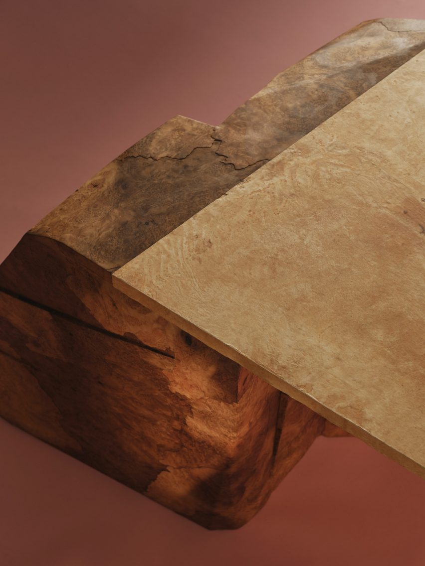 Undergrowth mycelium desk