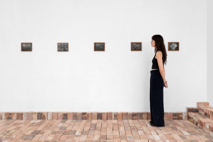 Photo of a visitor looking at framed photography in an exhibition