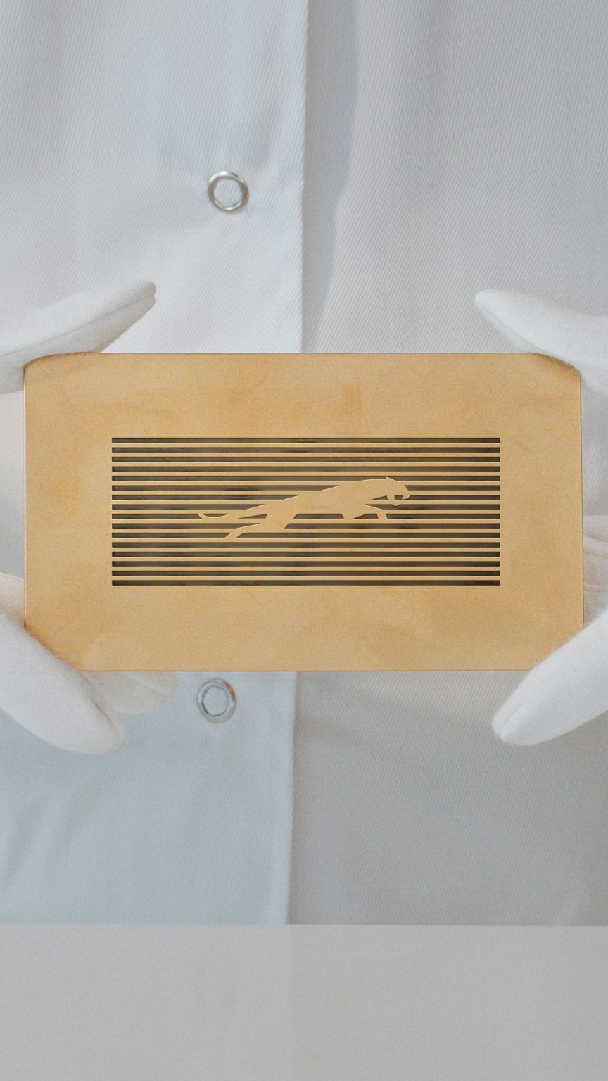 Jaguar rebrand