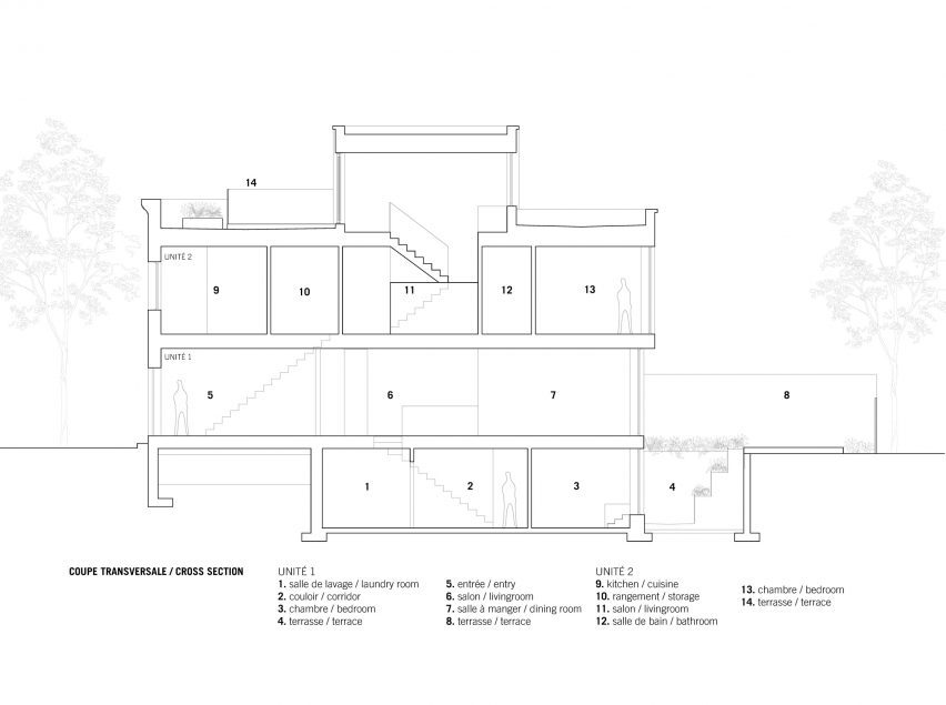 Section of Le Petit Merlot by Naturehumaine