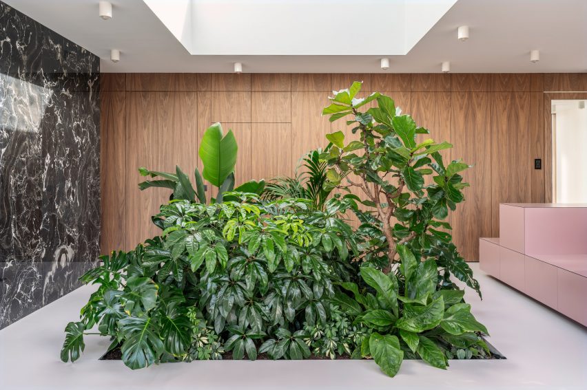 Patio House by Studio Okami Architecten