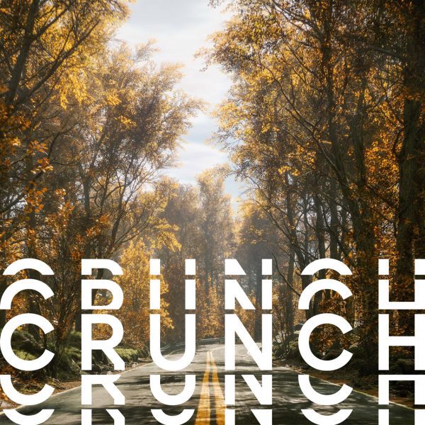 Graphic for CRUNCH: Just Models – Playing Nature