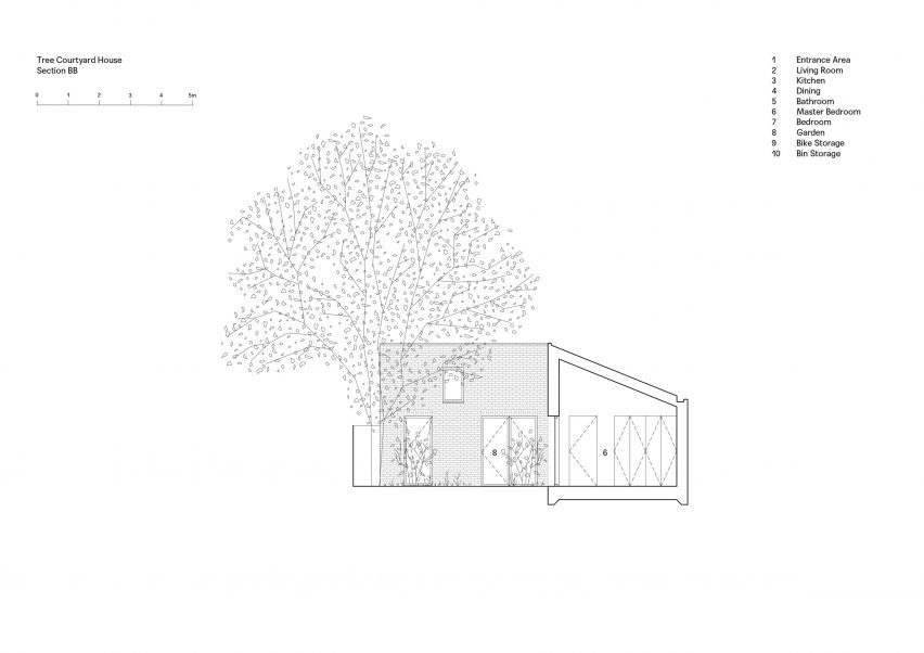 Section of Tree Courtyard House by Ao-ft