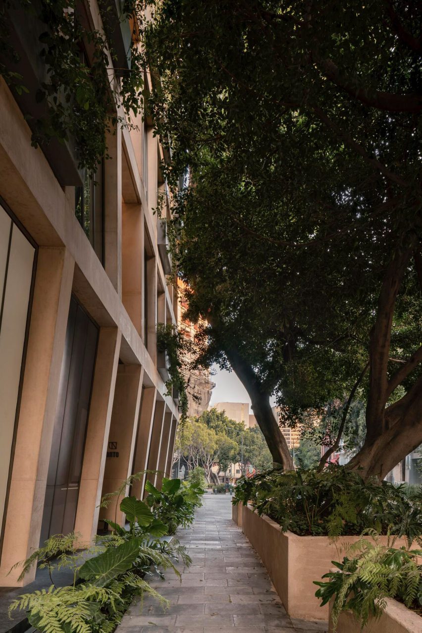 Tonalá 15 by CRB Arquitectos