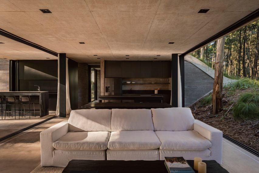 House in a forest