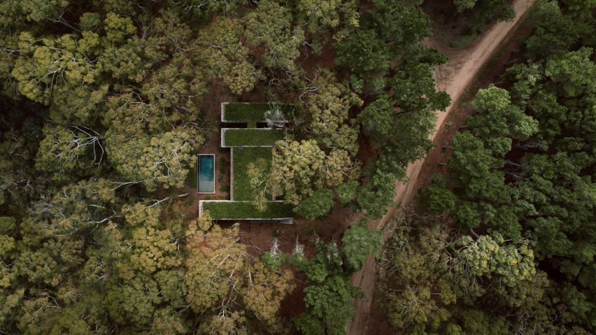 House in a forest