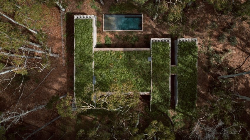 House in a forest