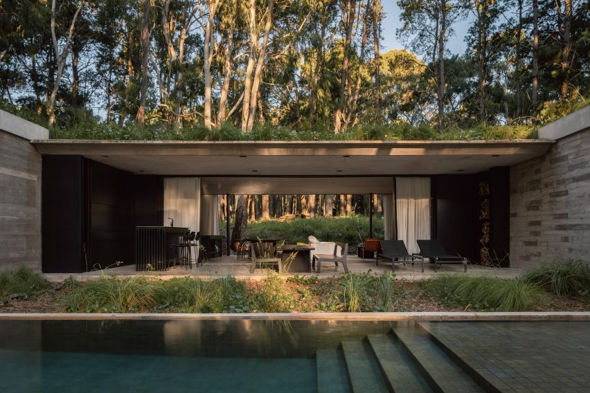 House in a forest