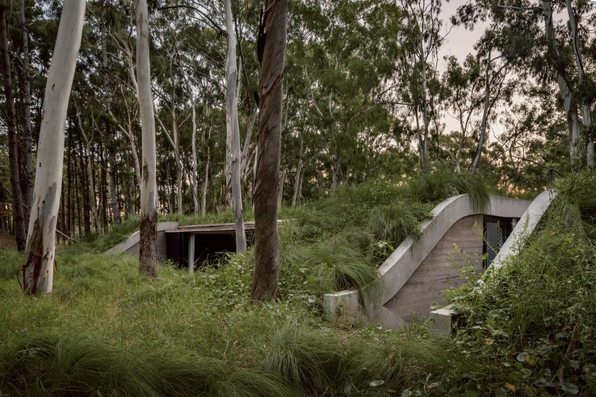 House in a forest