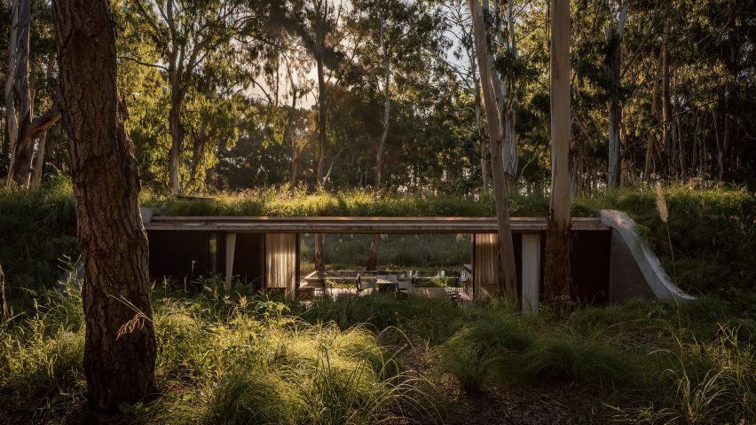 Forest house