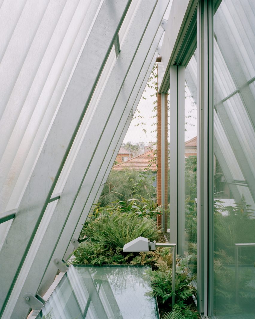 Clifton House by Anthony Gill Architects